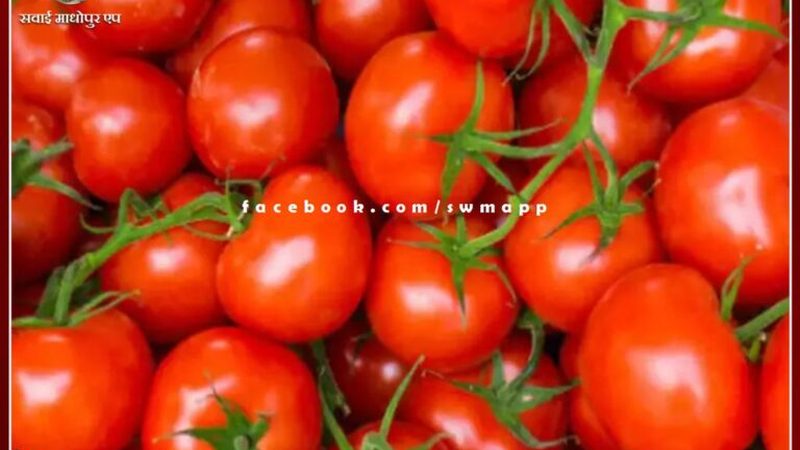深圳职业健康检查标准：解读与关注要点